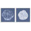 Denim Sand Dollar & Scallop 2 PC, estampe numérique par Julie Derice-1321072361-1321072360