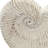 11.5X6.7X7.7" Sand And Cement Nautilus Shell Planter With Textured Beige Finish-651445516