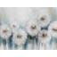 Art mural sur toile Whissical Dandelion Botanical-2008656521