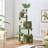 Eleigha 59'' H Cat Tree