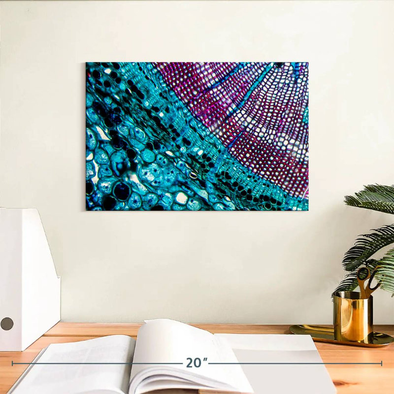 Keiri Pine Stem Under Microscope, 8" H x 12" W