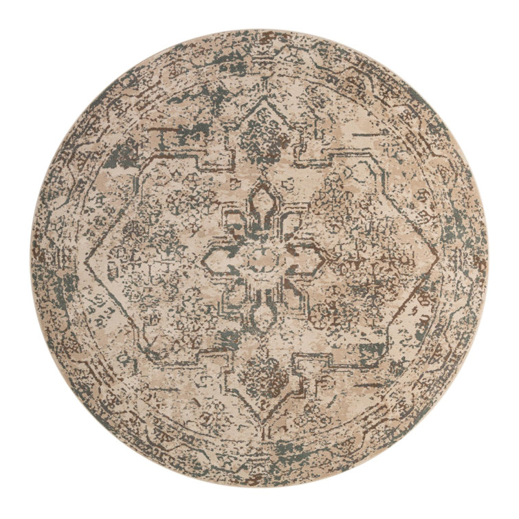 Mosely Oriental Indoor Rug