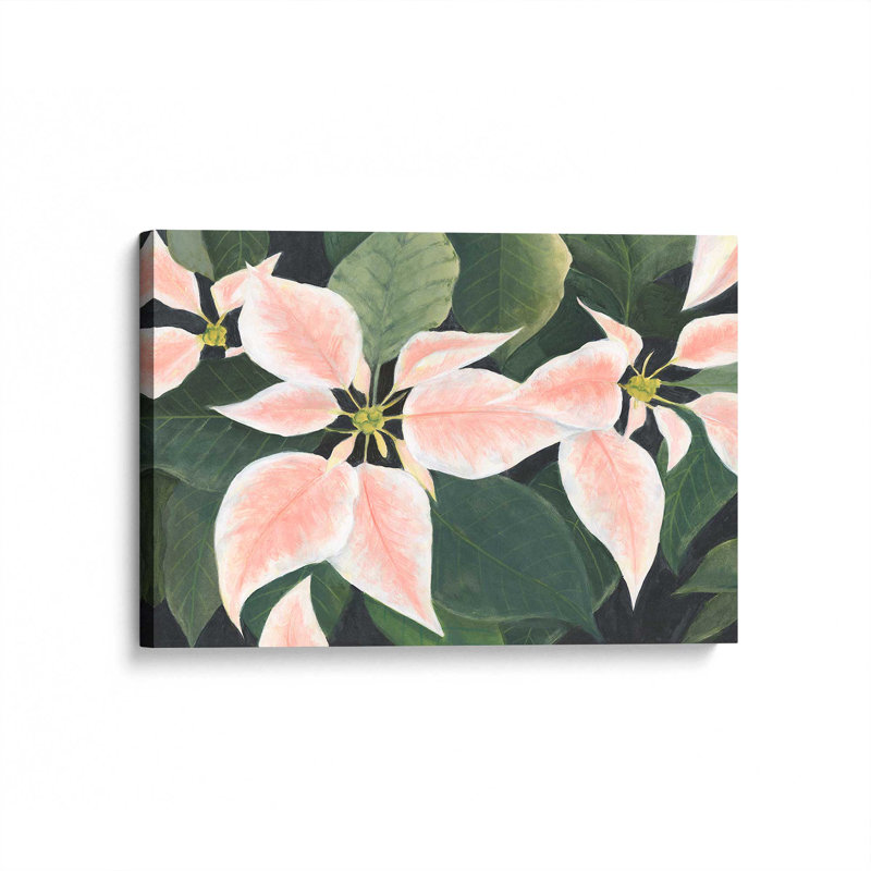 «Pastel Poinsettias I» par Michael Willett, reproduction d'art sur toile, H 18 po x l 24 po