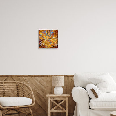 " Colorado Autumn Trees " by Lena Owens