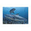 Shark Couple Shark Couple, reproduction d'art mural-151206249