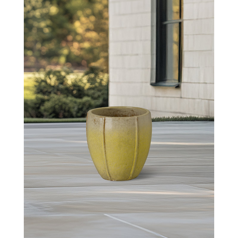 CREST PLANT, NEIGE, Jaune, H 13 po x l 12,5 po x P 12,5 po