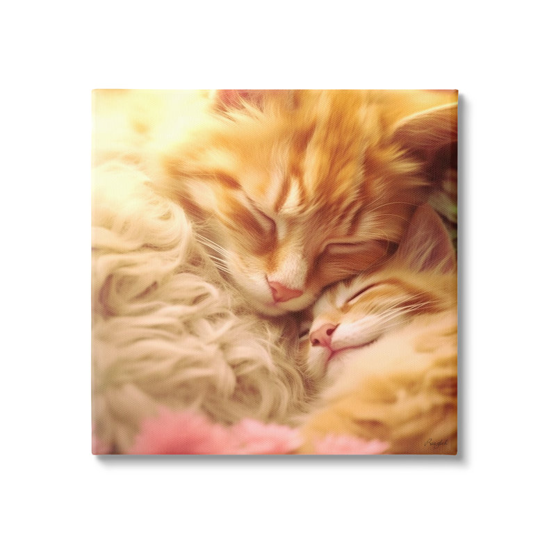 " Sleeping Orange Cats " by Roozbeh, 17" H x 17" W x 1.5" D