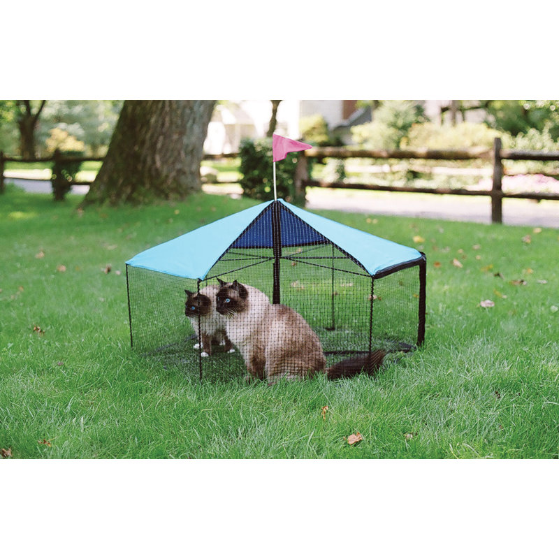 Portable Cat Playpen