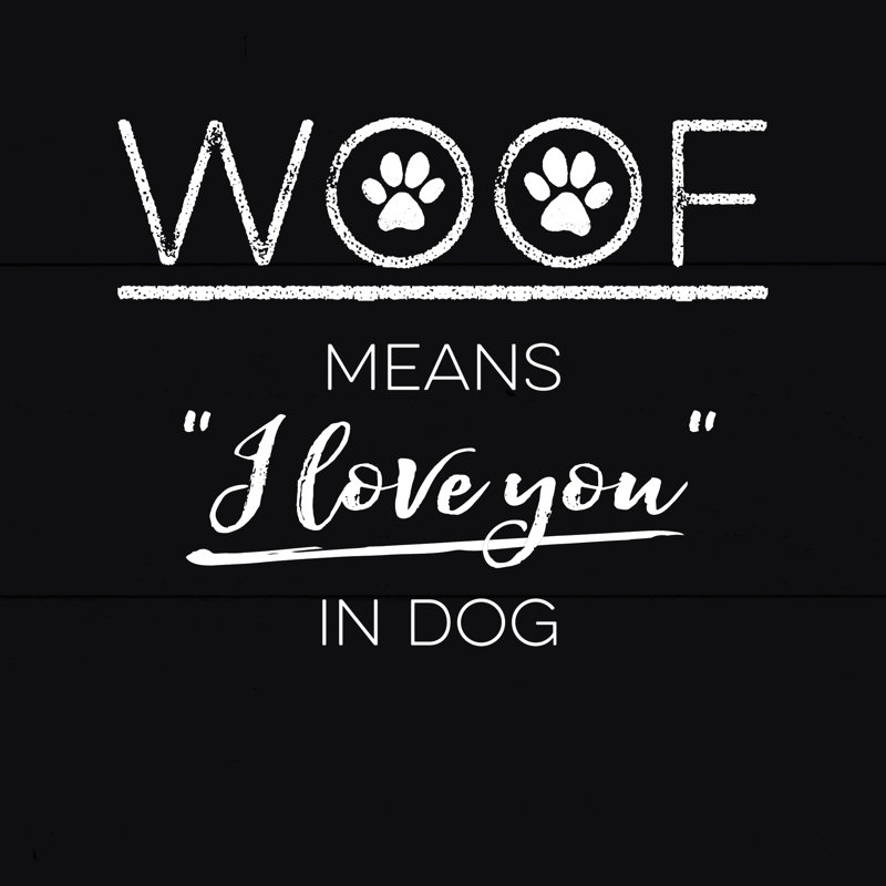 Woof In Dog - Wrapped Canvas Print, 122cm H x 122cm W x 3.8cm D