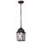 Enloe 1 - Light Outdoor Hanging Lantern-1143917511