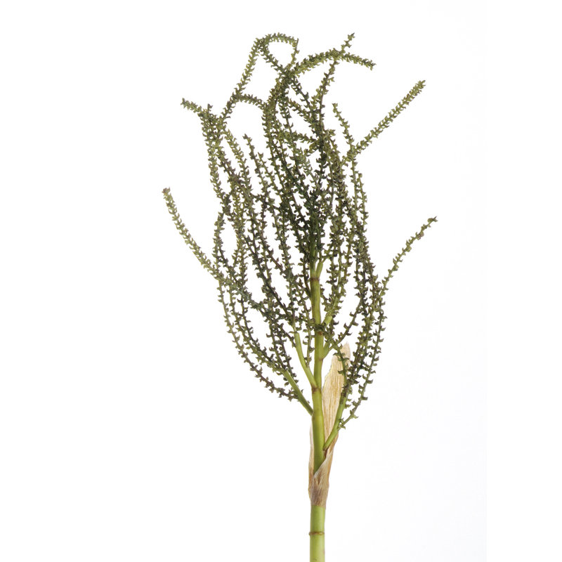 33"SMALL PALM SEED SPRAY