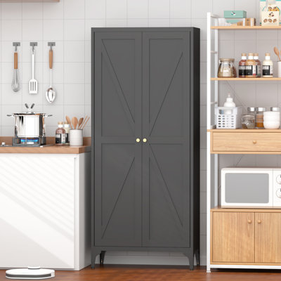 Metal Adjustable 2 Doors Metal Storage Cabinet Kitchen Pantry Cabinet With Adjustable Shelves all Steel Cabinet Locker For Kitchen, Living Room, Dinin by Gracie Oaks