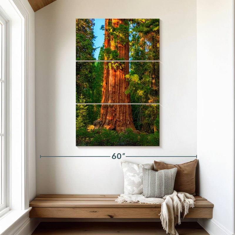 Kings Canyon Sequoia, H 50 po x l 32 po