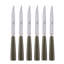 Icone 6 - Piece Stainless Steel Steak Knife Set-107567126