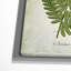«Botanical Plate XXII», reproduction d'impression sur toile tendue-22188543