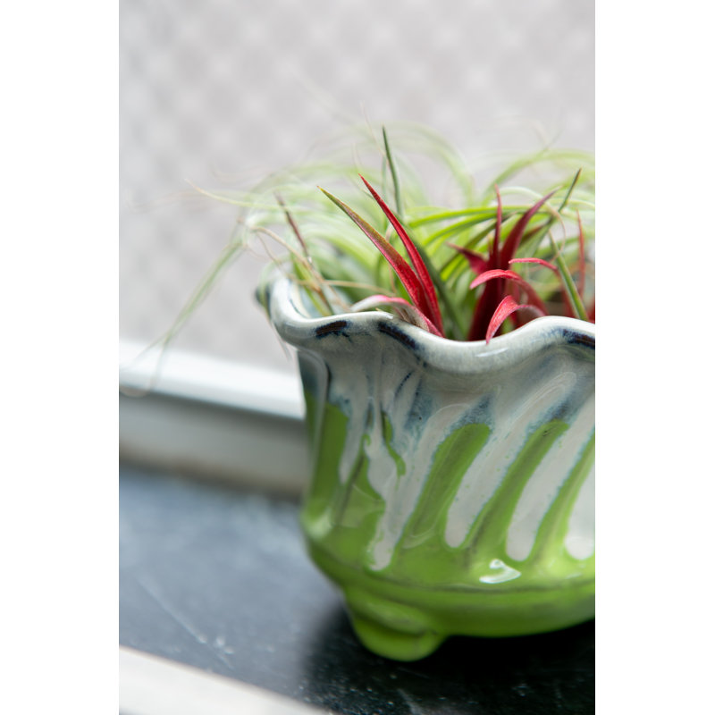 4.5 in. Spiraler Pot - Vanilla Lime, Vanilla Lime