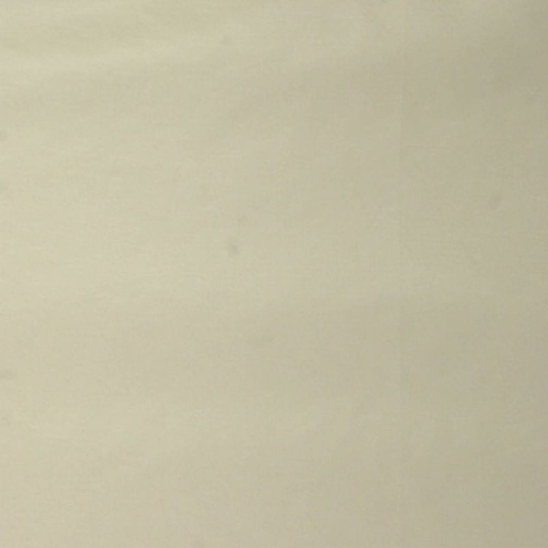 Wesco Extra Credit Fabric, Cream