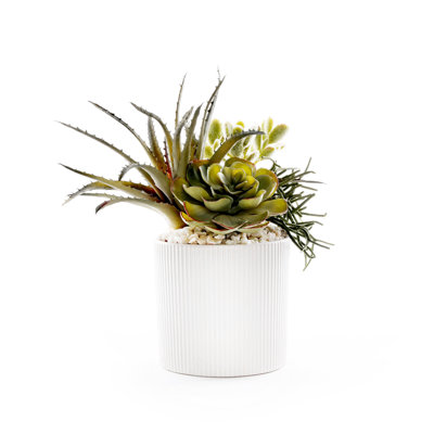 Faux Succulent Plant in Ceramic Planter