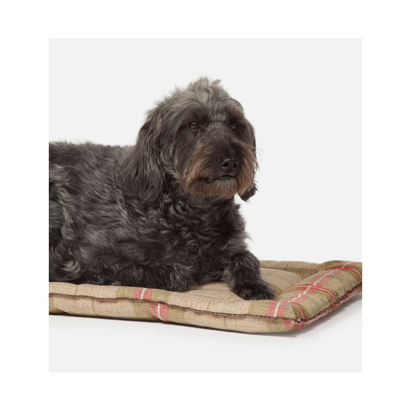 Newton Polyester Pet Bed, Medium (76 cm L x 53 cm W)