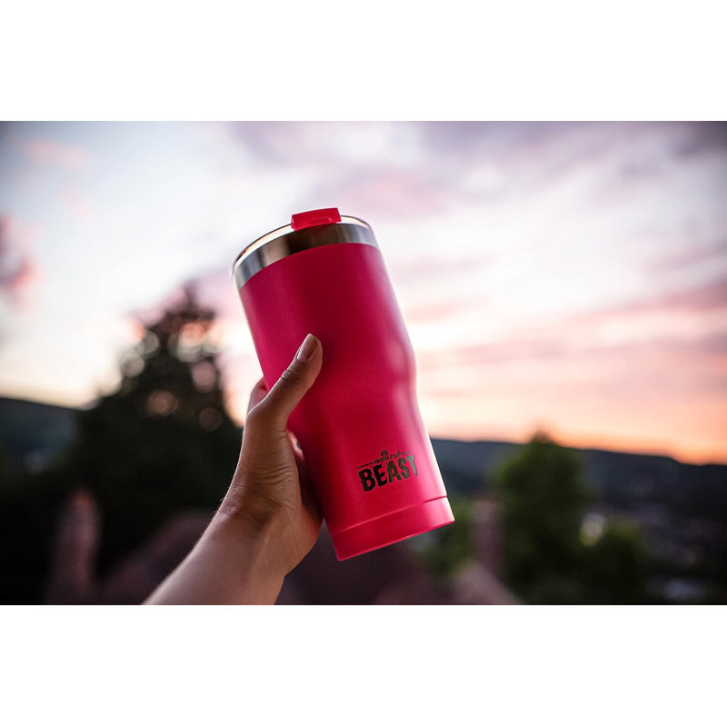 Ebern Designs 30.0ml Double Wall Insulated Stainless Steel Travel Tumbler