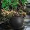 Jardinières d'extérieur de style moderne pour porche, jardinière ronde avec trou de drainage, pots à fleurs Mgo, grandes jardinières de balcon