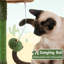 Dubrule 52.5'' Height Cactus Cat Tree