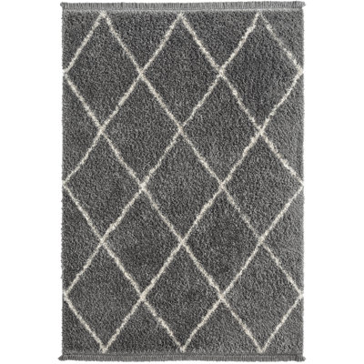 Godeus Shag Area Rug