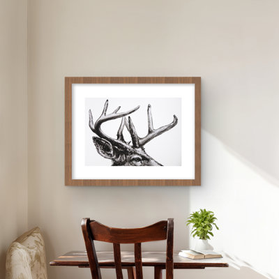 Roe Deer Plume - Reproduction matte encadrée pour la décoration intérieure