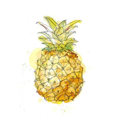 Pineapple Splash II by Ethan Harper - Wrapped Canvas Painting