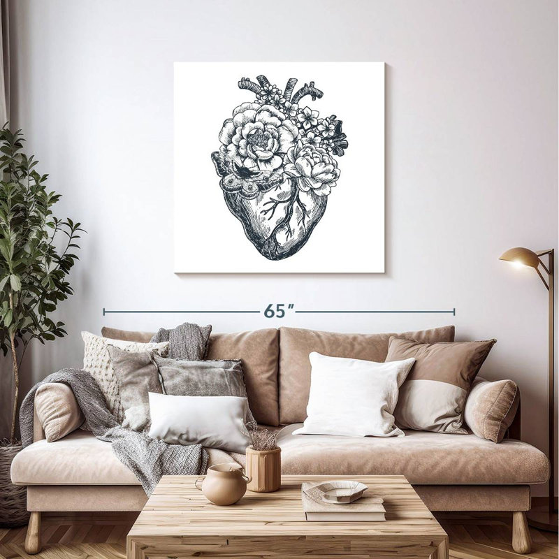 Anatomie du cœur Harnek