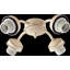 Ventilateur de plafond 4 lumières-16518495-16518513