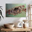 Papillon empereur Crowle-111890481