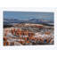 « after the orage » par bill sherrell, reproduction d’impression sur toile tendue-73840287-73840288-73840289