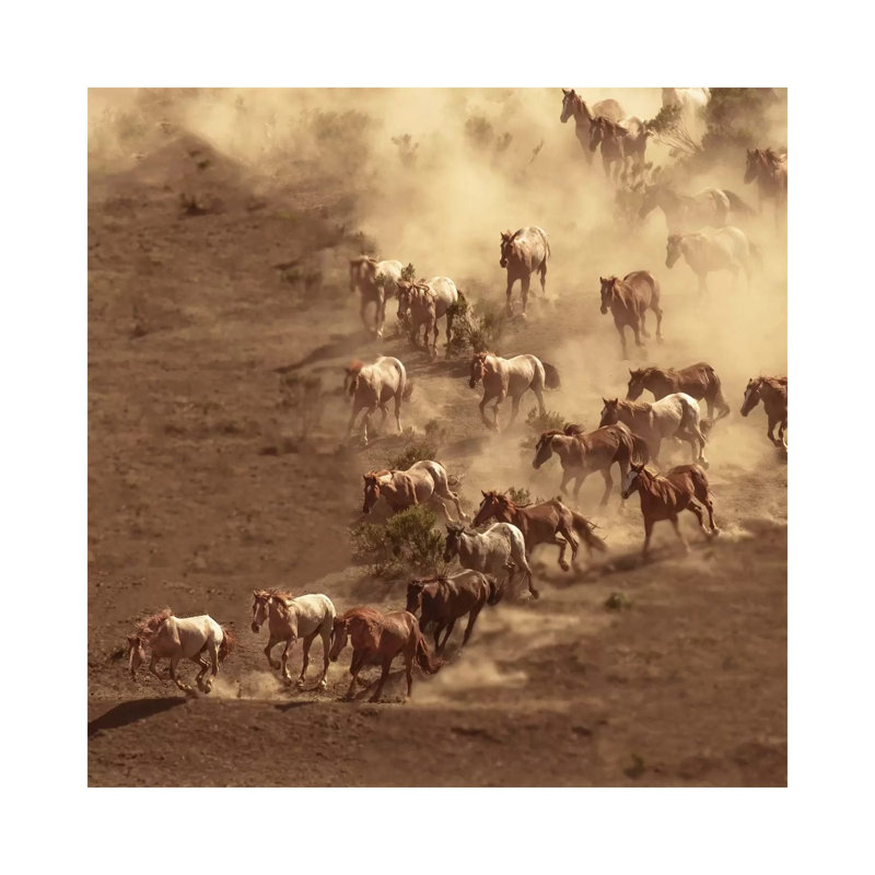 Dusty 1 Piece Wrapped Canvas Wall Art, 30.48 cm H x 30.48 cm W