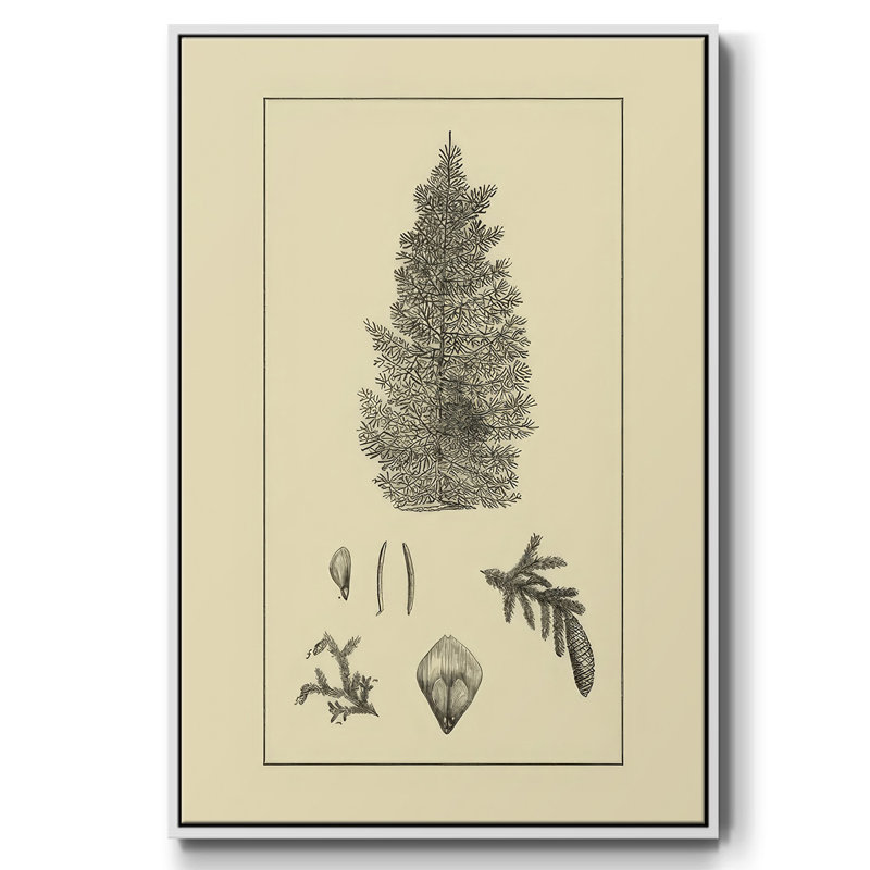 Arbor Study I, H 25 po x l 17 po x P 1,5 po, Blanc