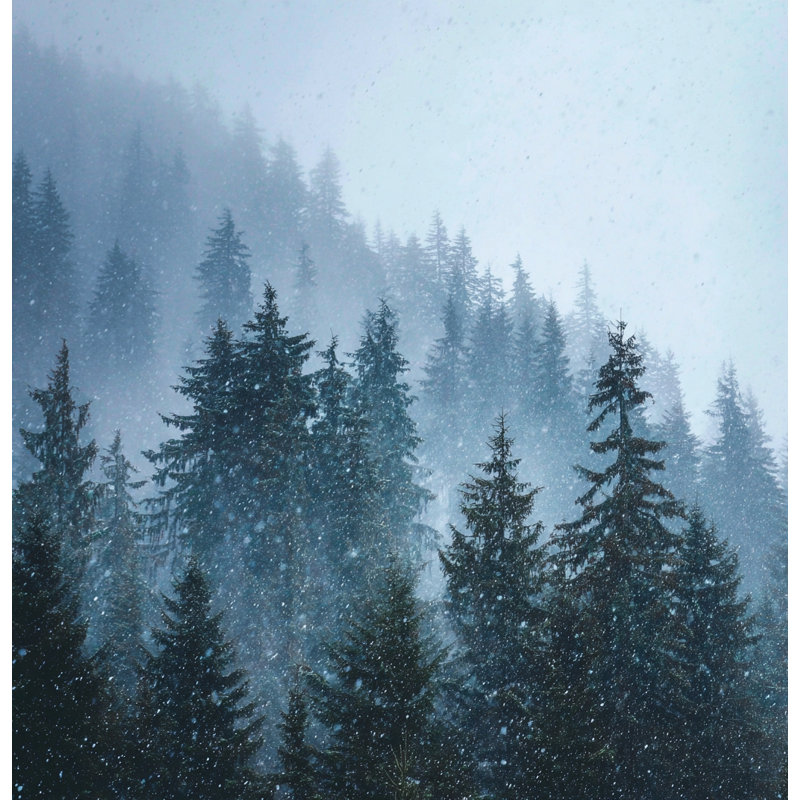 «Snowfall Over Evergreen Hills», art mural sur toile, 12 po x 12 po