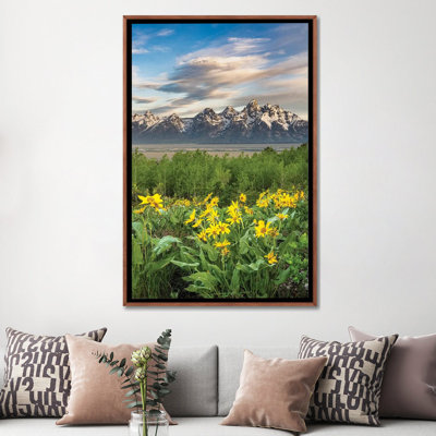 États-Unis, Wyoming. Arrowleaf Balsamroot Wildflowers and Aspen Trees, Parc national de Grand Teton. - Reproduction d'art mural - Toile tendue