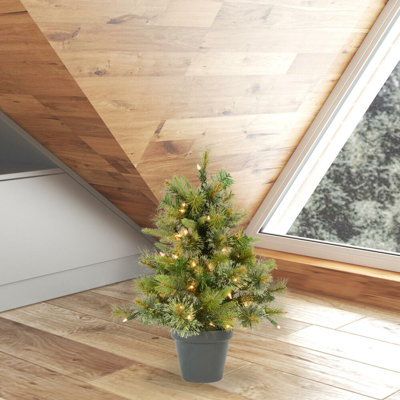 24" x 21" Cashmere Pine LED 50WW
