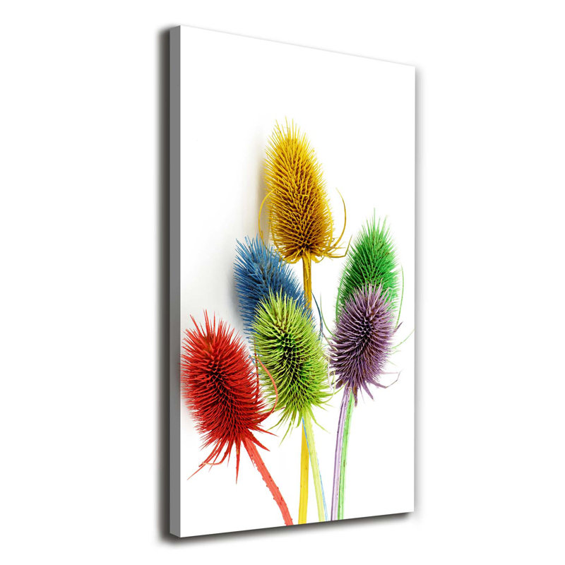Thistle - Wrapped Canvas Print, 140cm H x 70cm W