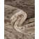 Perillo Abstract Indoor Rug