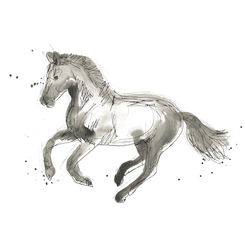 Equine Impressions II - Drawing, 51cm H x 76cm W, Wrapped Canvas