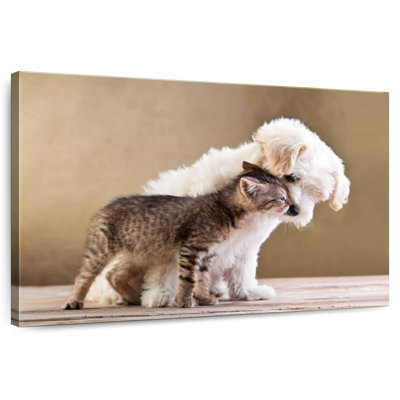 Brampt Sweet Cat And Dog