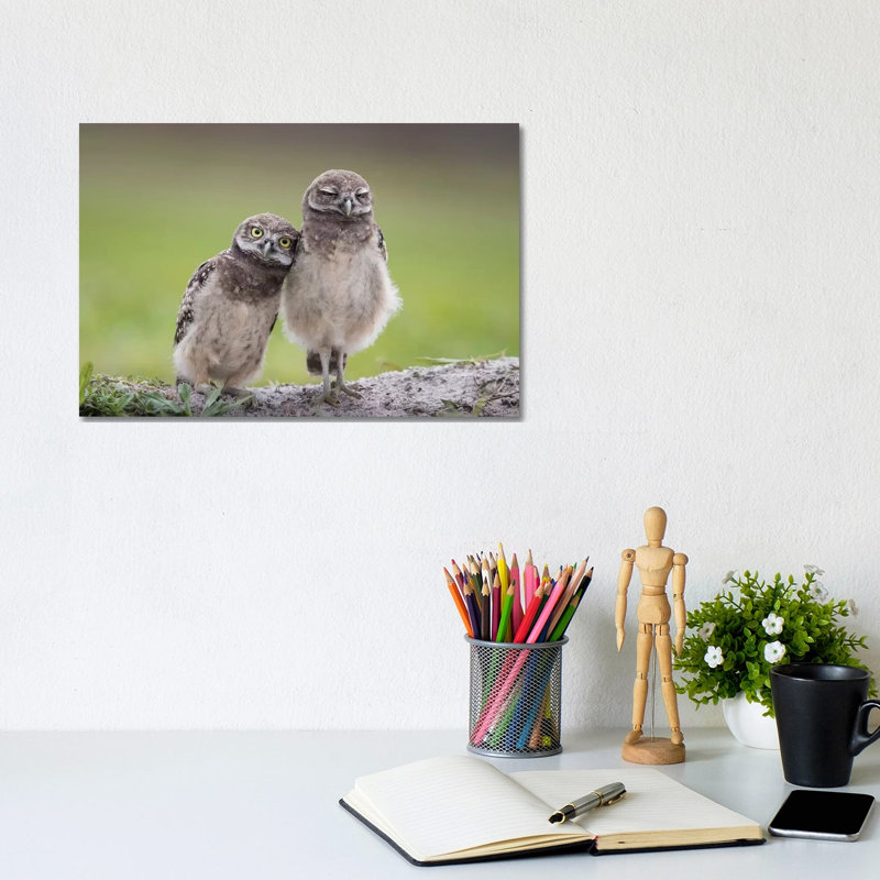 Friends by Greg Barsh - Wrapped Canvas Gallery-Wrapped Canvas Giclée, 20.32 cm H x 30.48 cm W