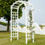 Mimose Garden Arches-20647939
