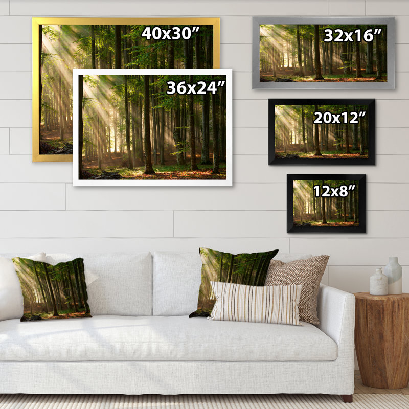«Sunshine Through the Trees in the Woods», reproduction sur toile encadrée, H 24 po x l 36 po x P 1 po, Cadre photo doré