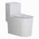 Tornado Flush Toilet, Siphon Jet Dual Flush 1.1/1.6 GPF Comfort Height Toilet (Seat Included)