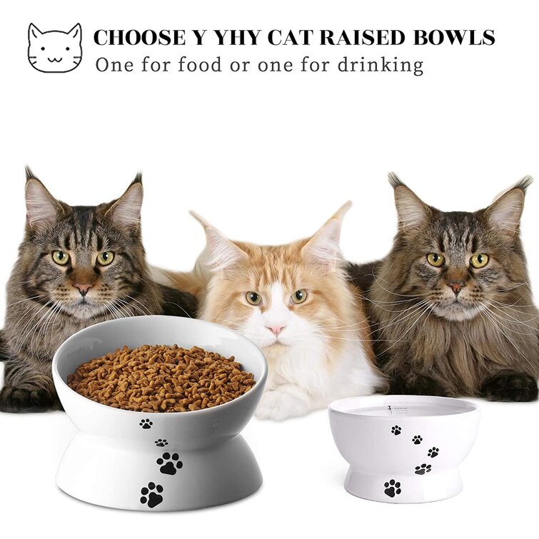 https://assets.wfcdn.com/im/91548370/resize-h755-w755%5Ecompr-r85/1540/154012318/Cat+Food+Bowl.jpg