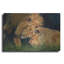 «Lion Love2» par David Stribble, art mural en métal-235798280