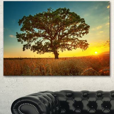 «Big Green Tree in Summer Field», reproduction de photo sur toile tendue