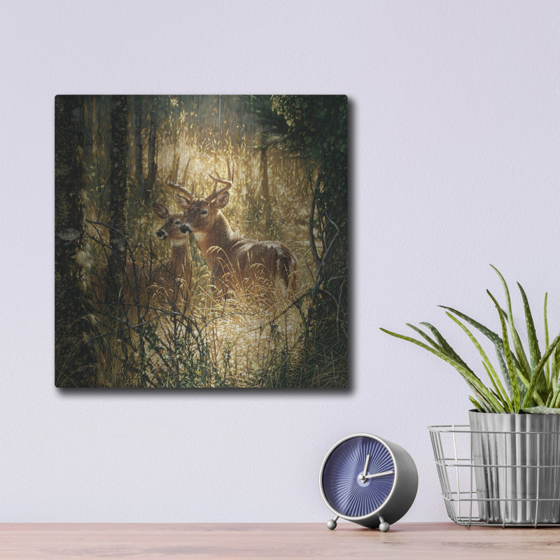 «A Golden Moment» par Collin Bogle, H 12 po x l 12 po